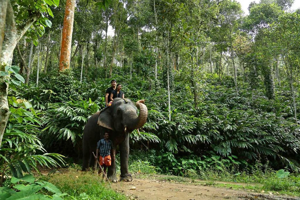 Peppervine Hotel Thekkady Εξωτερικό φωτογραφία